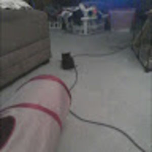 Meet your Posher, Isabelle